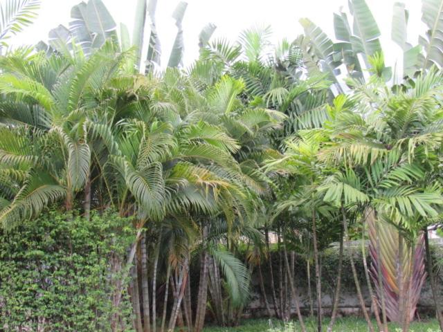 Курорт B&b Forest Hill Khao Yai