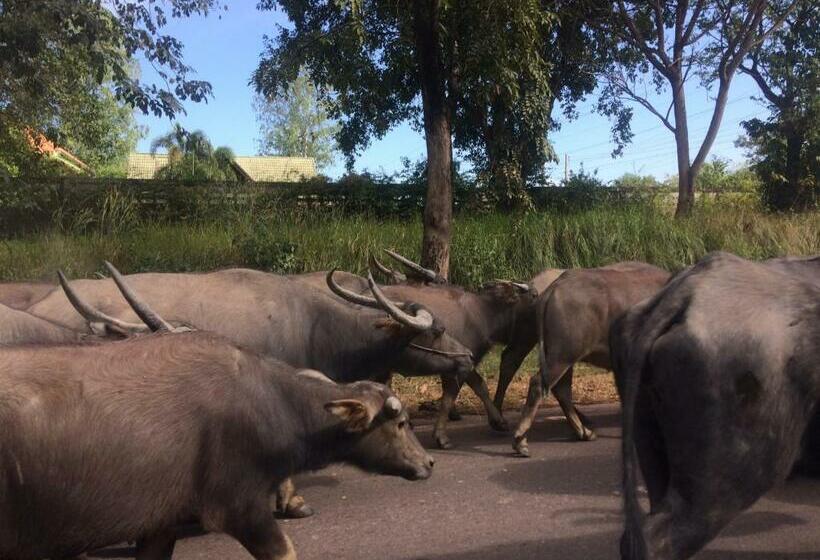 Курорт B&b Forest Hill Khao Yai