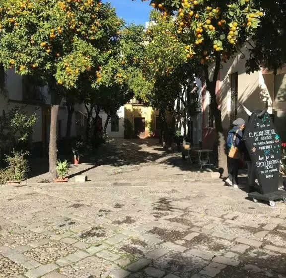 Apartamentos Flamenco B&b