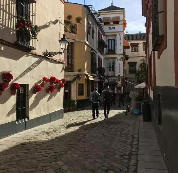 Apartamentos Flamenco B&b