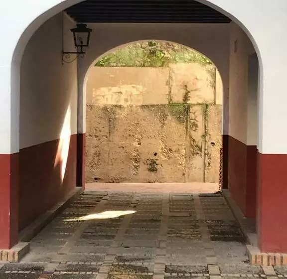 Apartamentos Flamenco B&b
