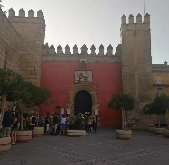 Apartamentos Flamenco B&b