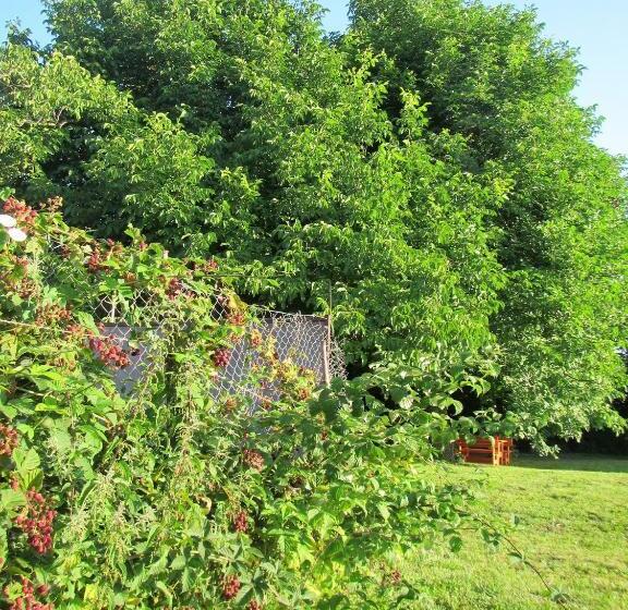 تختخواب و صبحانه Pod Orehi