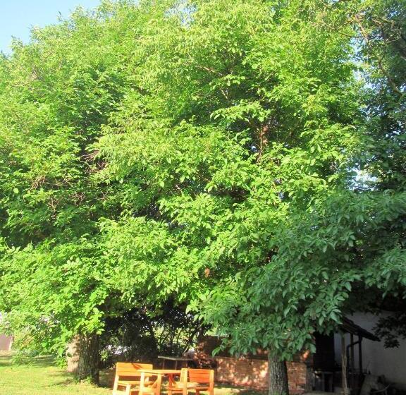 تختخواب و صبحانه Pod Orehi