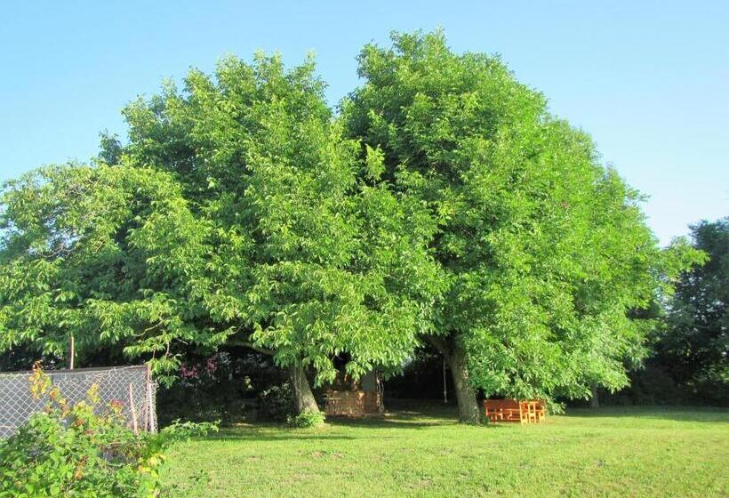 تختخواب و صبحانه Pod Orehi