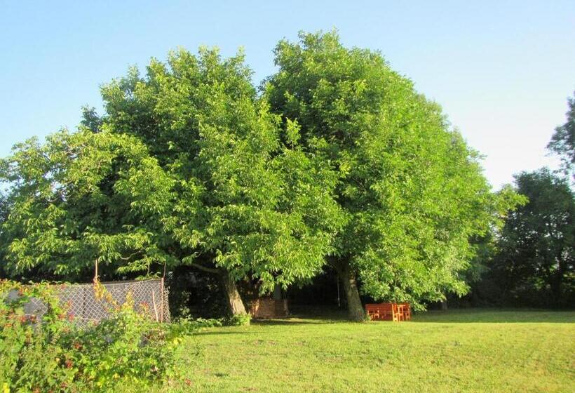 تختخواب و صبحانه Pod Orehi