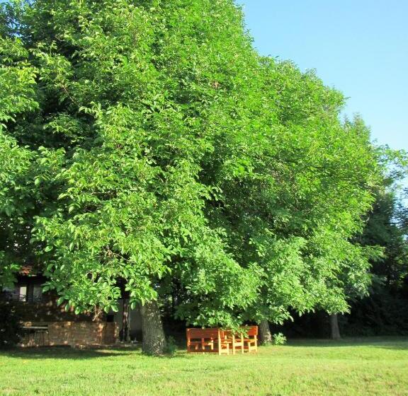 تختخواب و صبحانه Pod Orehi