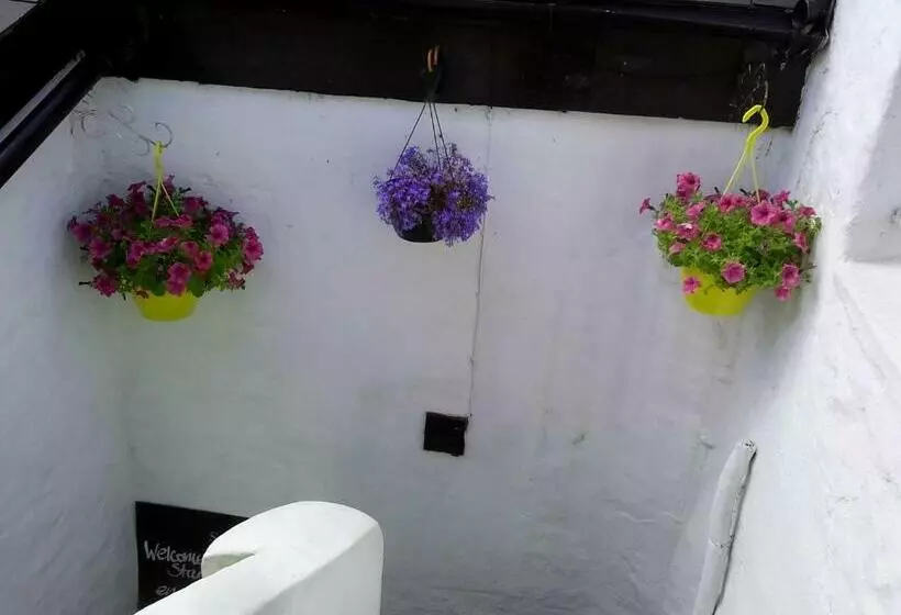 Aamiaismajoitus (B&B) Starfish Rooms