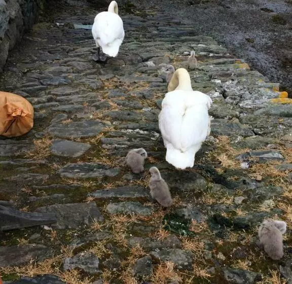 Aamiaismajoitus (B&B) Starfish Rooms