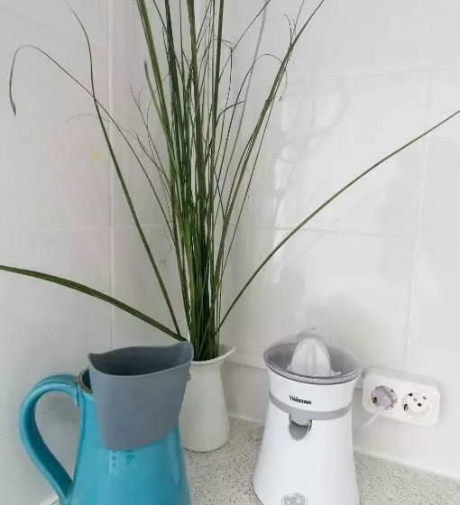 Change The World Hostels   Cascais   Estoril