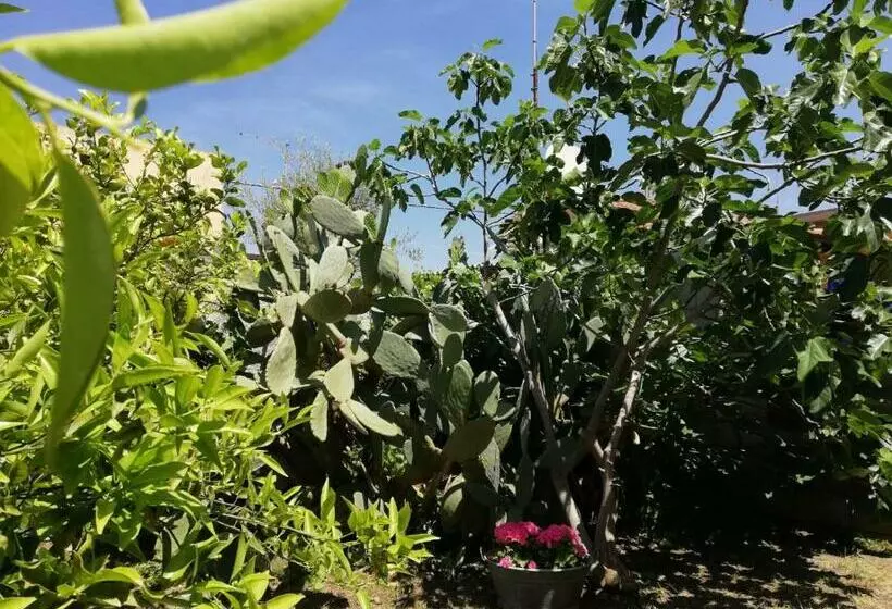 پانسیون Aeroporto Bellini Rooms