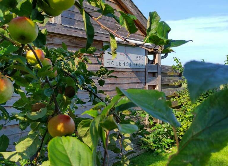 B&b Molenstreek