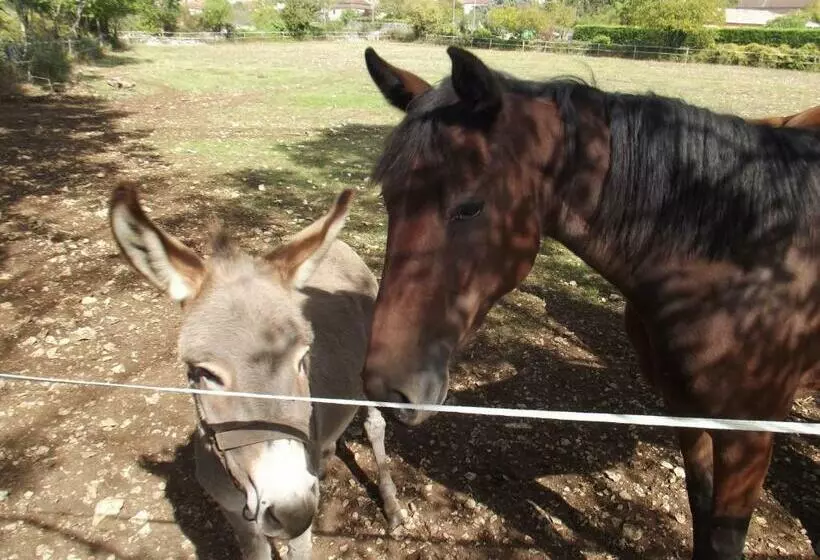 Aamiaismajoitus (B&B) Le Vinagrou