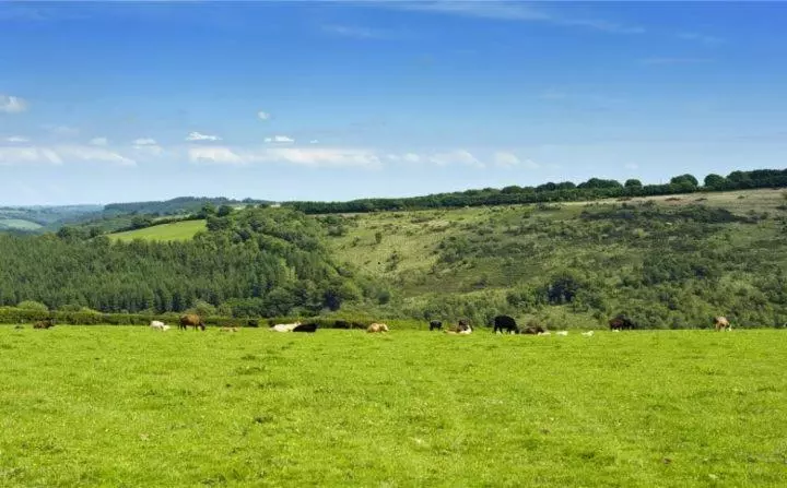 Bed and Breakfast Zeal Farm