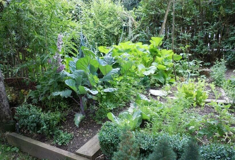 ペンション Appartementhaus Dargham