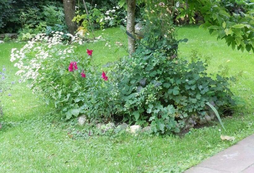 ペンション Appartementhaus Dargham