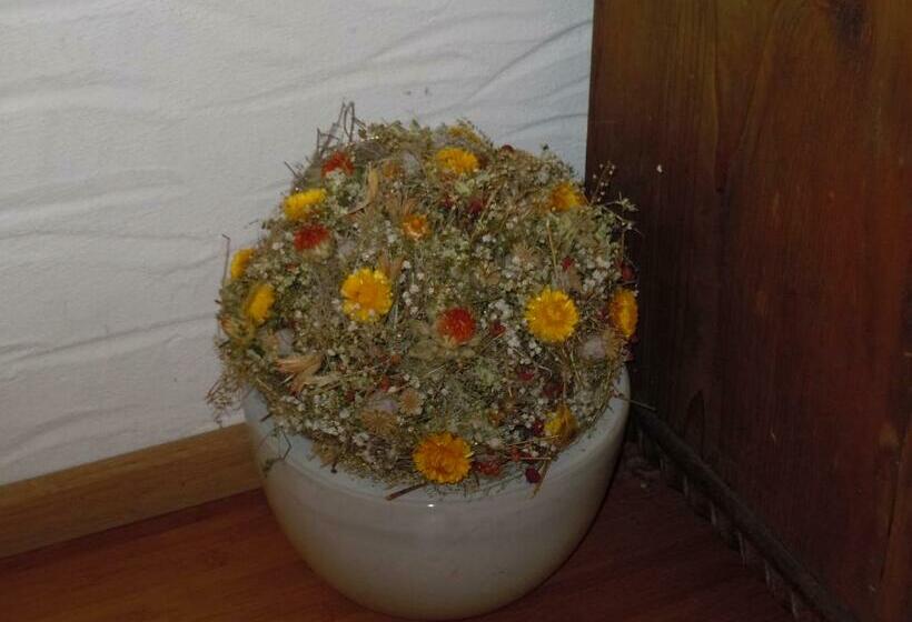 ペンション Appartementhaus Dargham