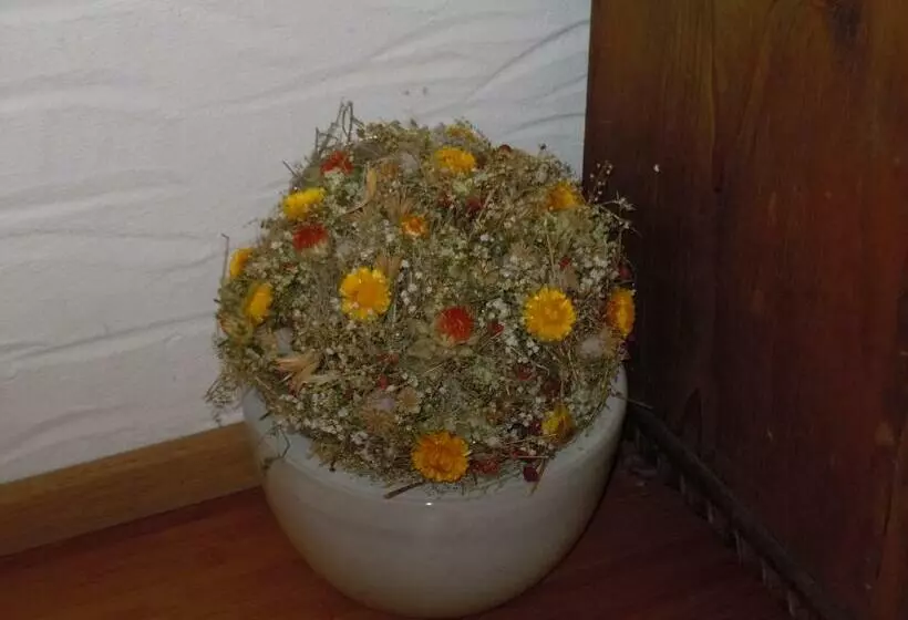 Majatalo Appartementhaus Dargham