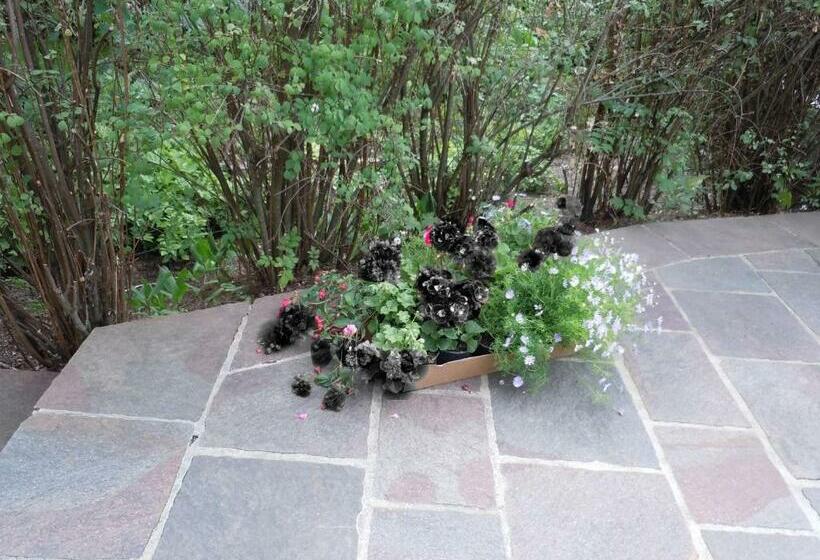 ペンション Appartementhaus Dargham