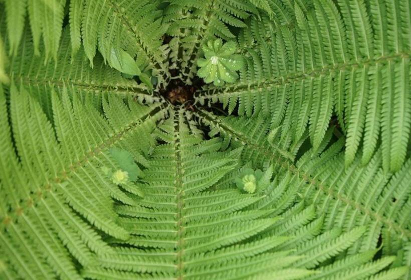 ペンション Appartementhaus Dargham