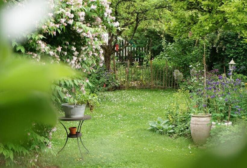 ペンション Appartementhaus Dargham