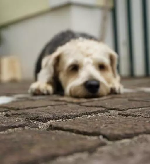 Majatalo Appartementhaus Dargham