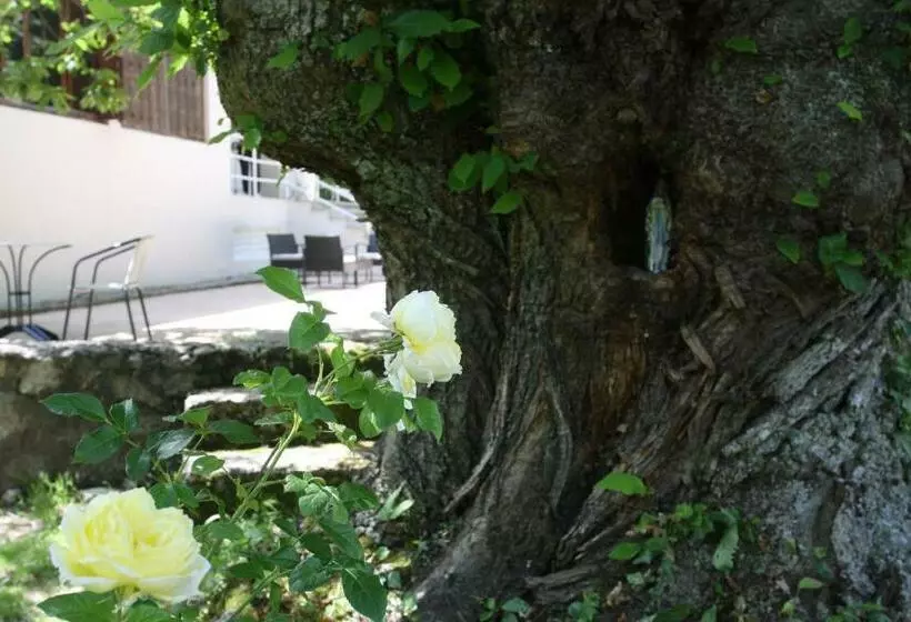 Aamiaismajoitus (B&B) 1er Consul