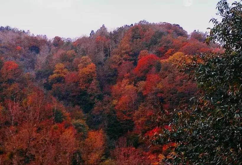 Aamiaismajoitus (B&B) Skymist Maison D Hôtes