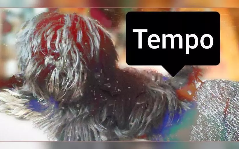 Aamiaismajoitus (B&B) Skymist Maison D Hôtes