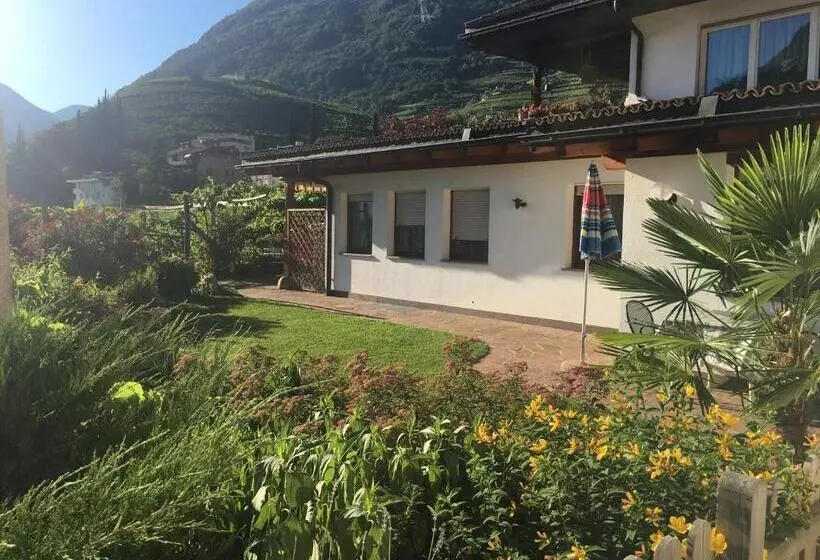 هتل Weingut Zundlhof