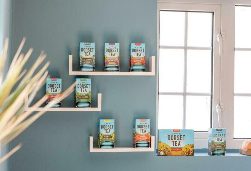 פנסיון Clovelly Guest House