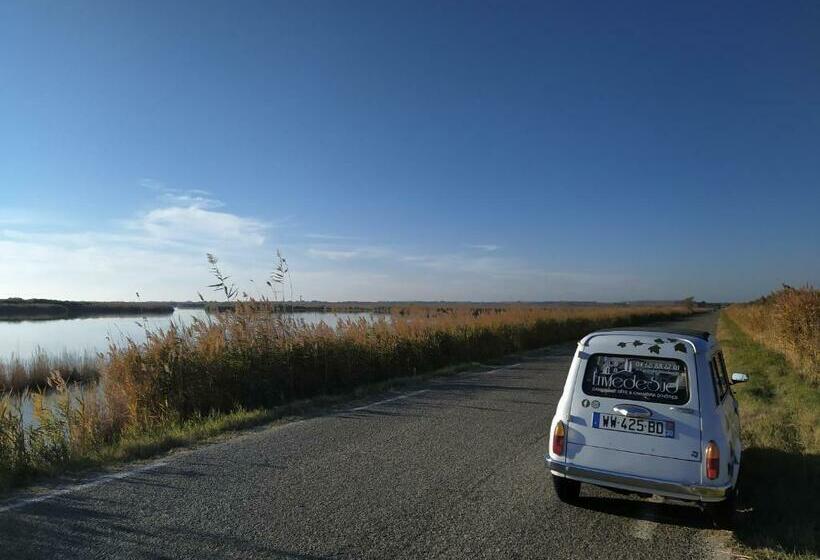 ペンション Envie De Sud