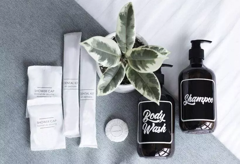 Harbour Ville Hotel   Hamilton