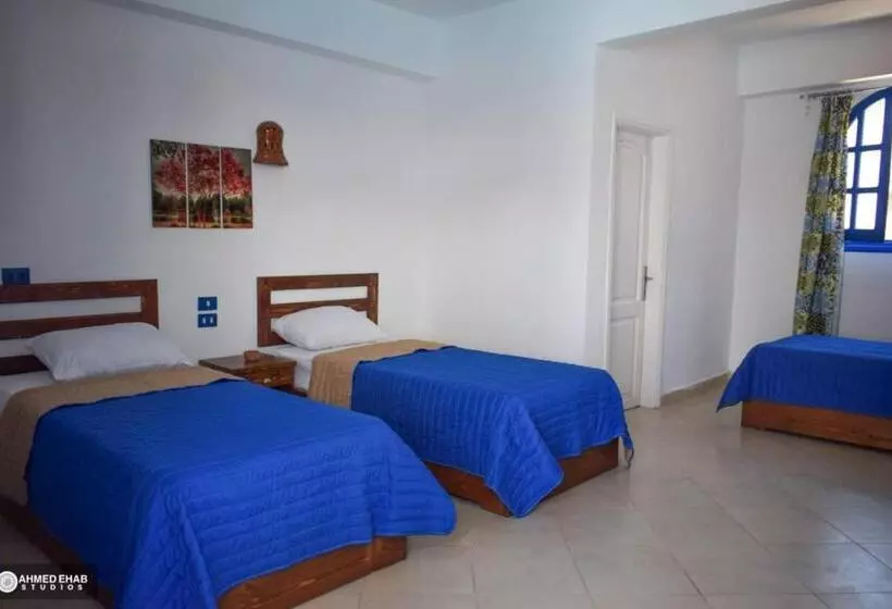 Sea Horse Hotel Dahab