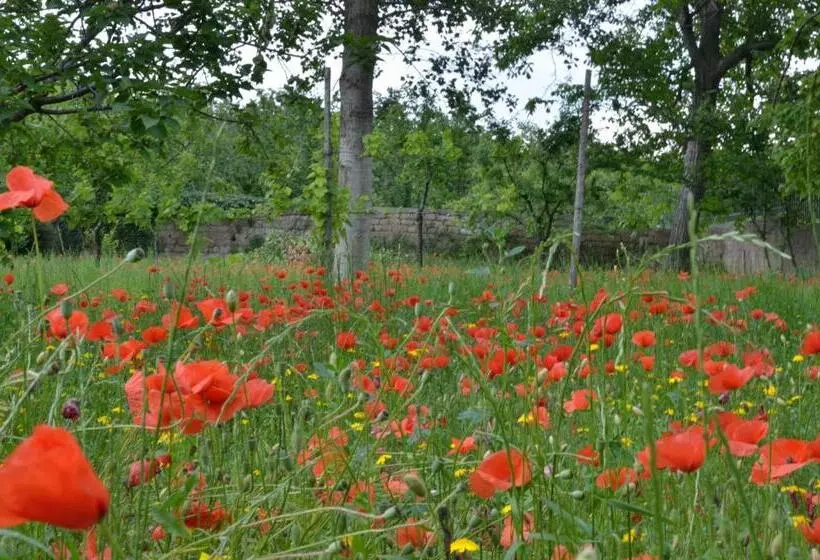 Aamiaismajoitus (B&B) Il Giardino Del Sole
