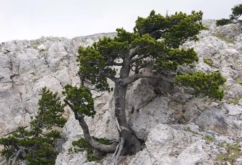 Aamiaismajoitus (B&B) Tana Libera Tutti 1 Nature, Yourself, Love