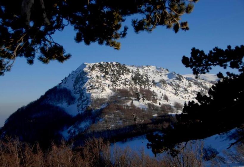 ベッドアンドブレックファースト Tana Libera Tutti 1 Nature, Yourself, Love