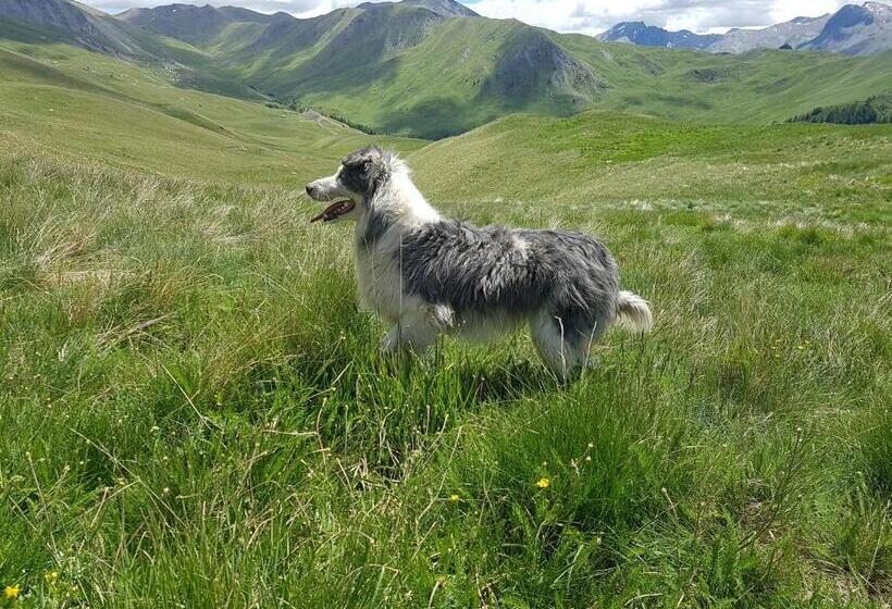 호텔 Auberge La Coulette