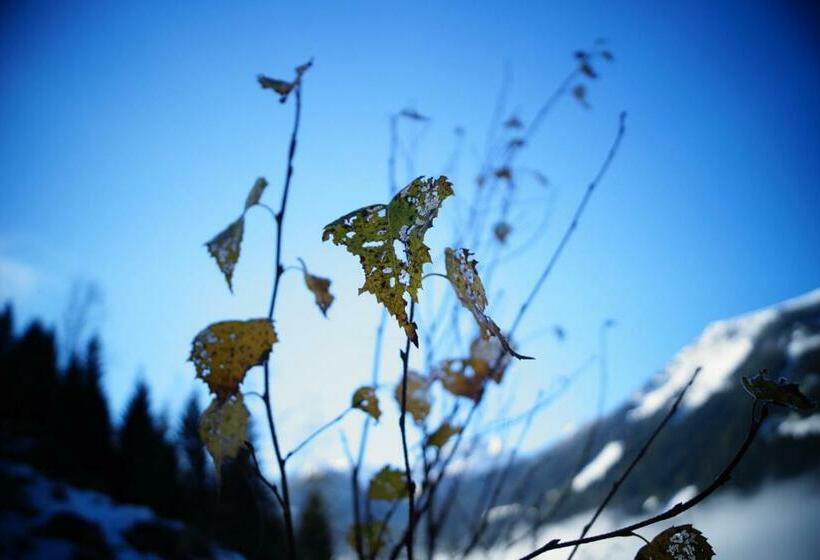 בית מלון כפרי Biobauernhof Spieszschweiger