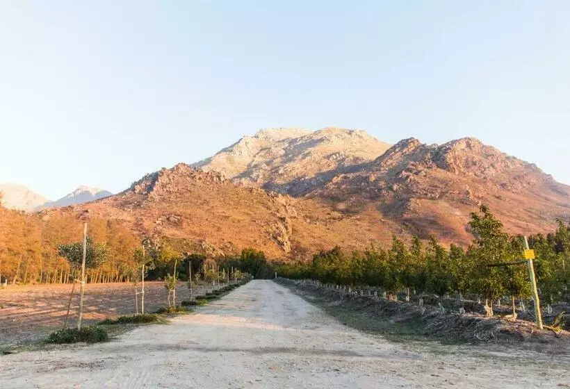 ホテル White Bridge Farm Accommodation
