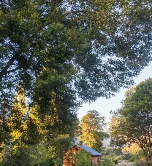 ホテル White Bridge Farm Accommodation