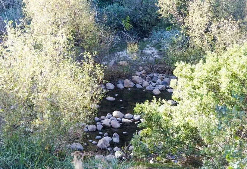 ホテル White Bridge Farm Accommodation