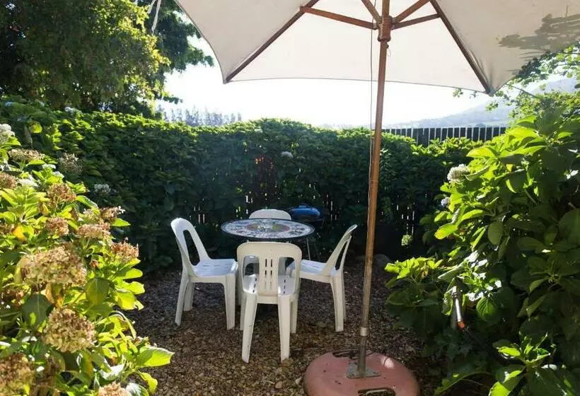ホテル White Bridge Farm Accommodation
