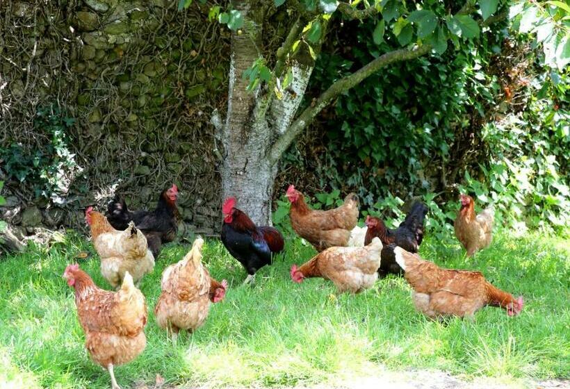 פנסיון Chambre D Hôte Courtoux