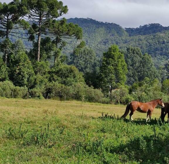 پانسیون Pousada Alternativa Dora