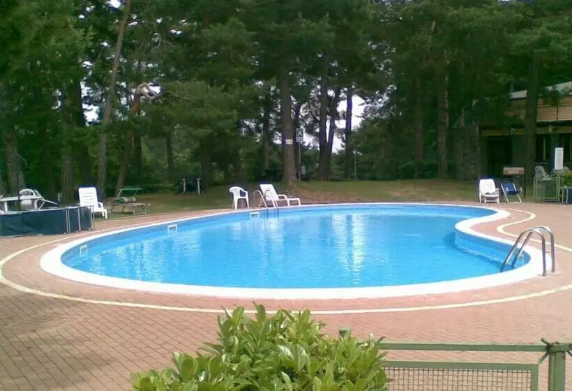 ペンション Residence Selva Dei Pini