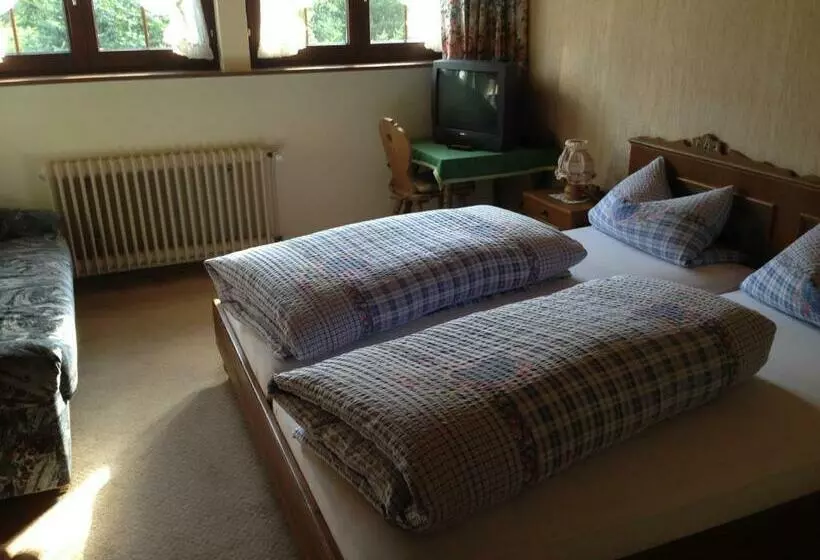 ユースホステル Café   Pension Bernreutehof