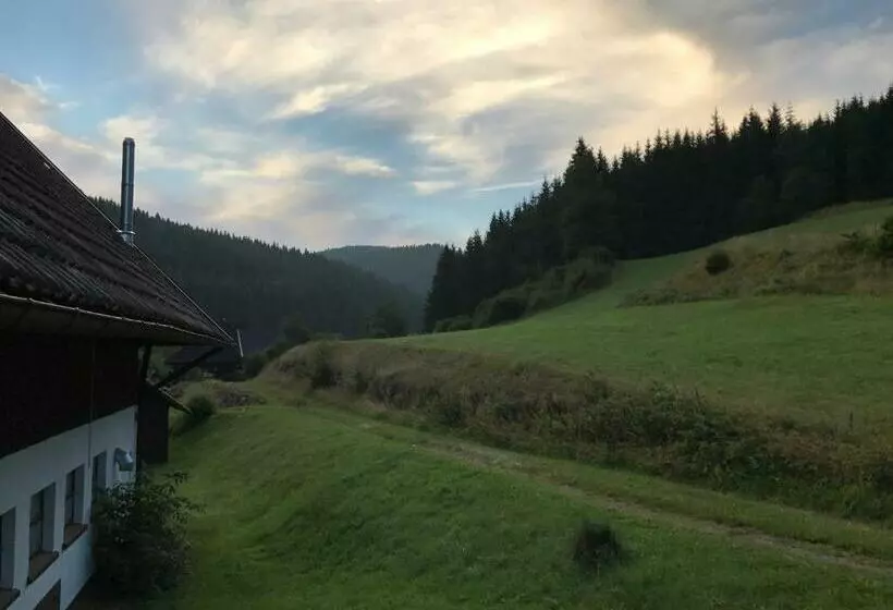 ユースホステル Café   Pension Bernreutehof