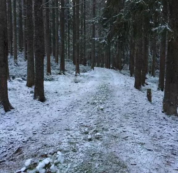 ユースホステル Café   Pension Bernreutehof