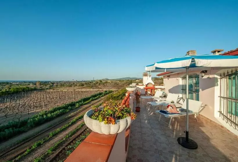 B&b Il Vigneto